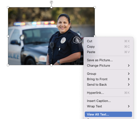 snapshot of an image in Word as well as the right-click menu options with the "view Alt Text" option highlighted.