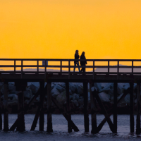 banner-4